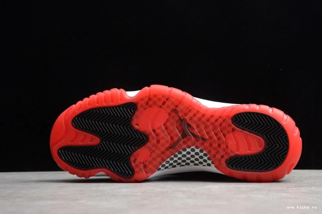 Rep 11 Jordan Bred(2019) Air 378037-061 0802